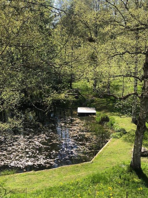Exklusives Apartment Mit Schwimmbad Im Allgaeu Oy-Mittelberg Εξωτερικό φωτογραφία